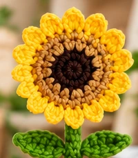 Brown seed center and yellow outer petals